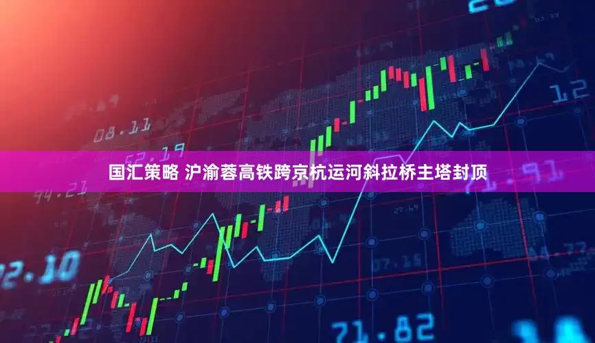 国汇策略 沪渝蓉高铁跨京杭运河斜拉桥主塔封顶