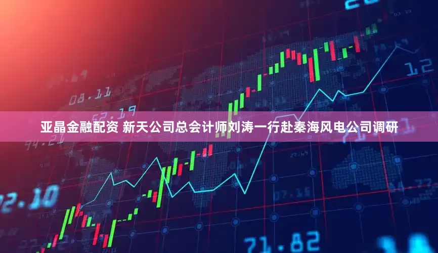 亚晶金融配资 新天公司总会计师刘涛一行赴秦海风电公司调研