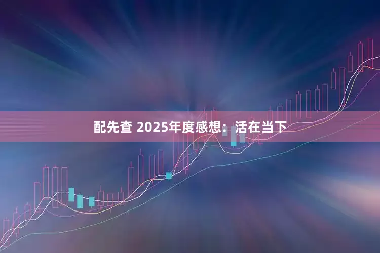 配先查 2025年度感想：活在当下
